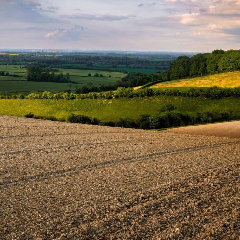 Direct cremation in Bedfordshire