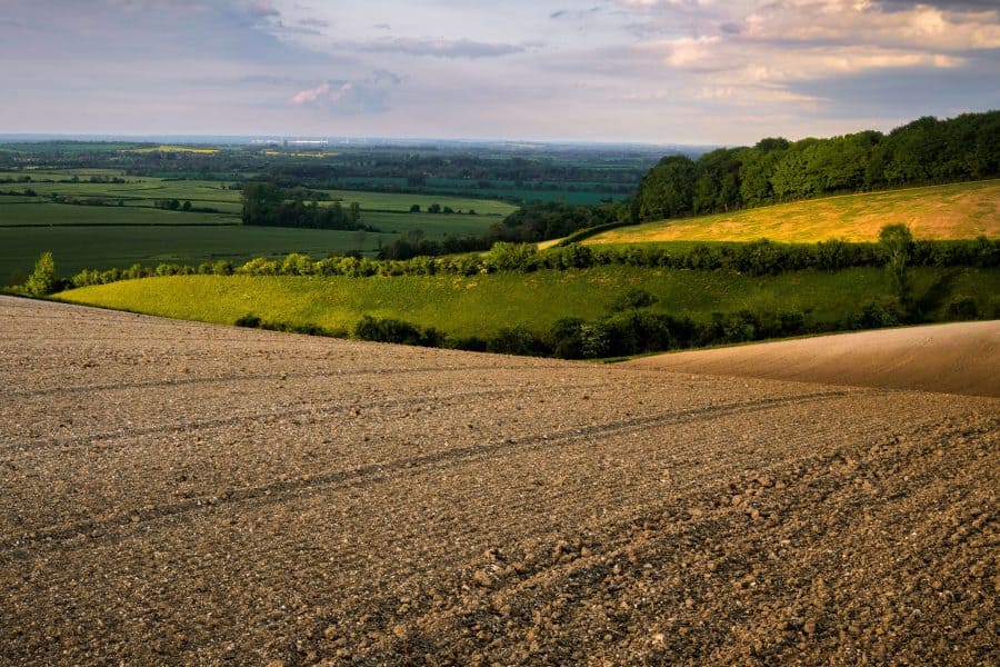 Direct cremation in Bedfordshire