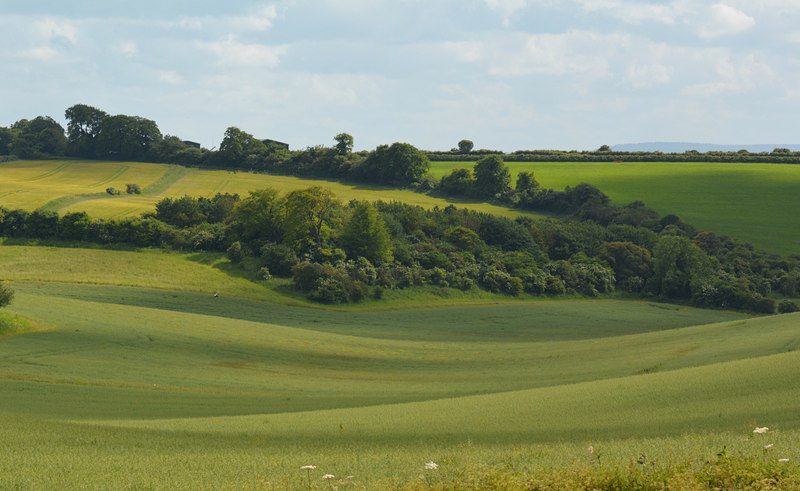 Direct cremation in Berkshire