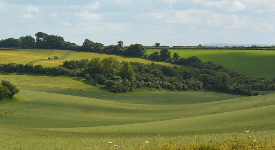 Direct cremation in Berkshire