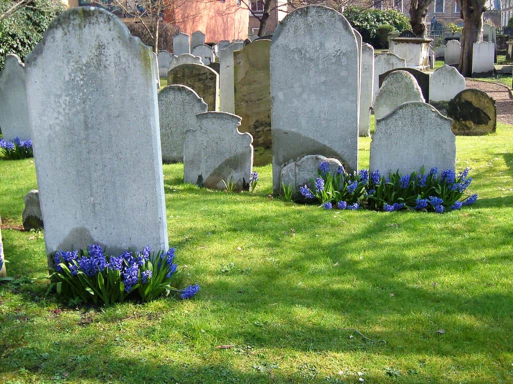 The Economic Advantages of Low-Cost Direct Funerals: What You Need to Know