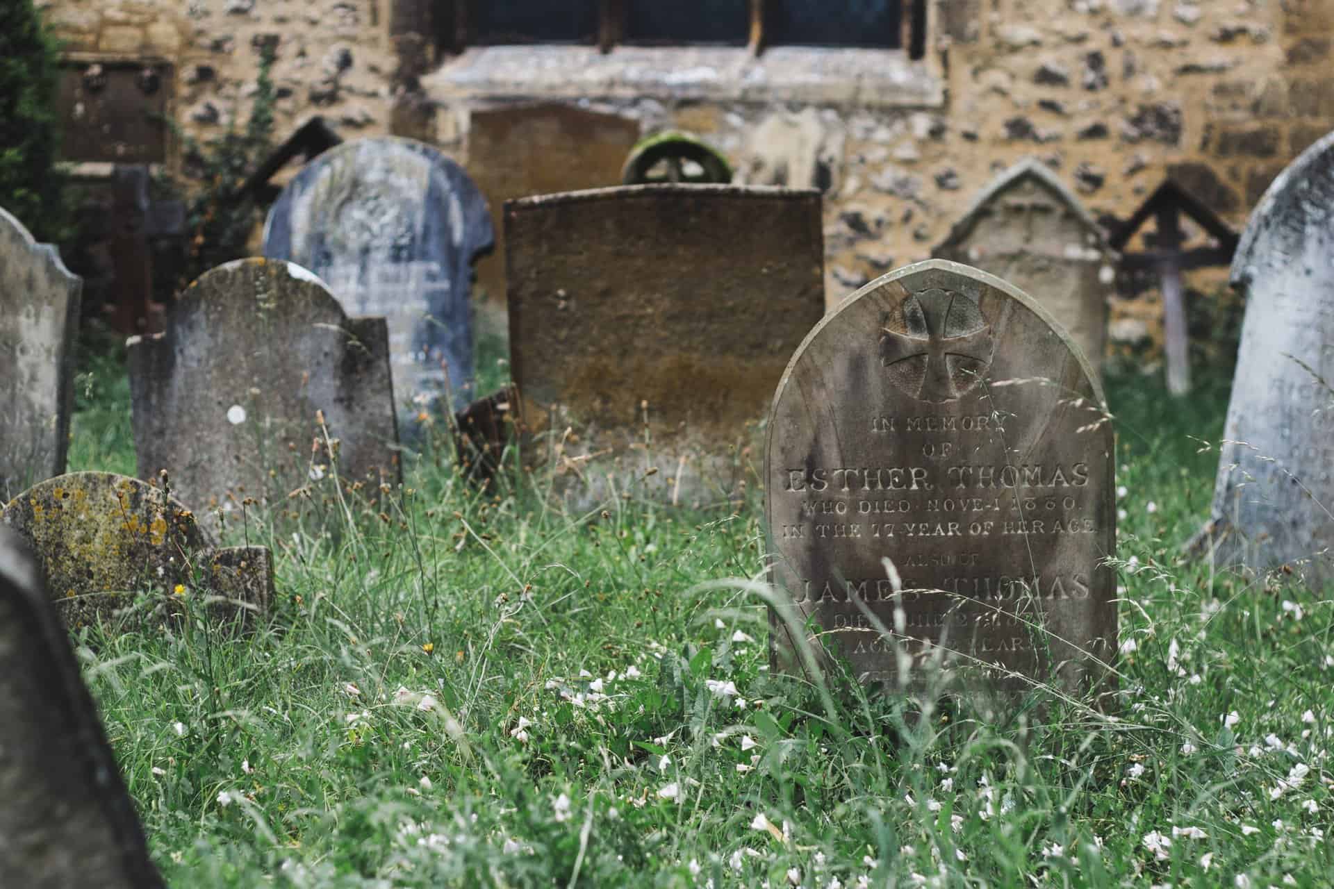 Green Burials: How They Contribute to a Sustainable Environment